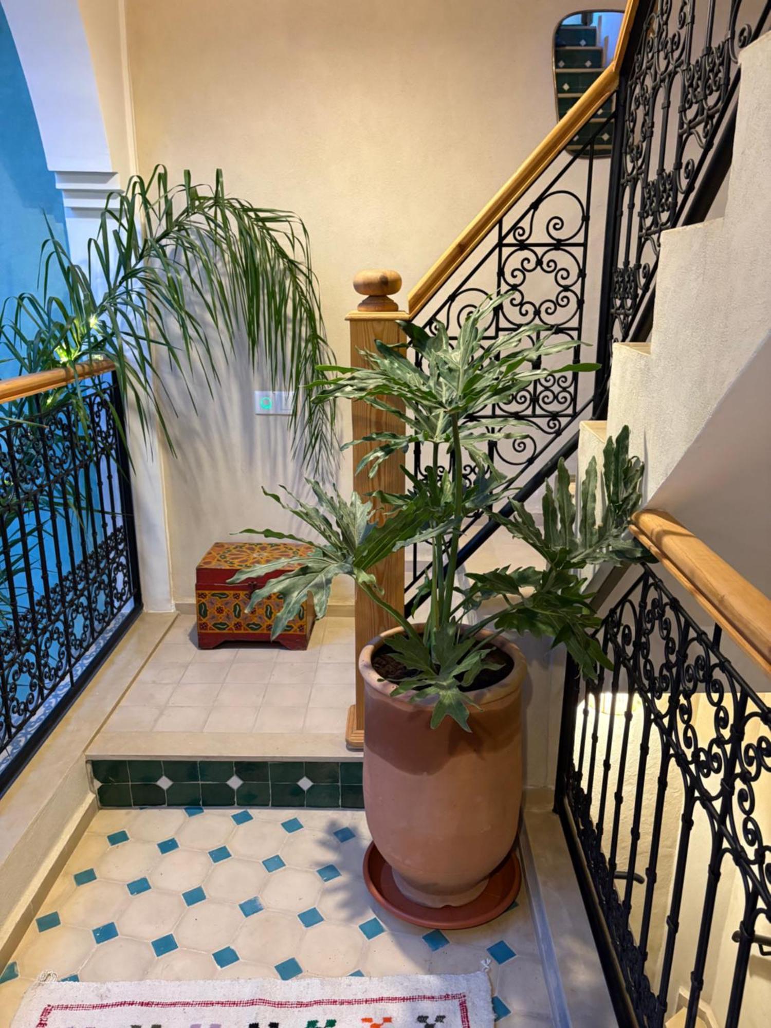 Riad212 Private Medina Fast Wi-Fi Plunge Pool Marrakesh Ngoại thất bức ảnh